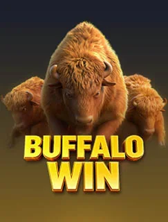 Buffalo Win