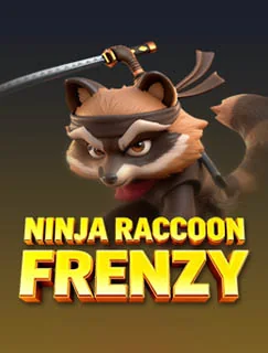 Ninja Raccoon Frenzy